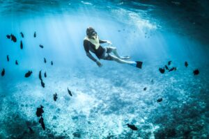 underwater wonders
