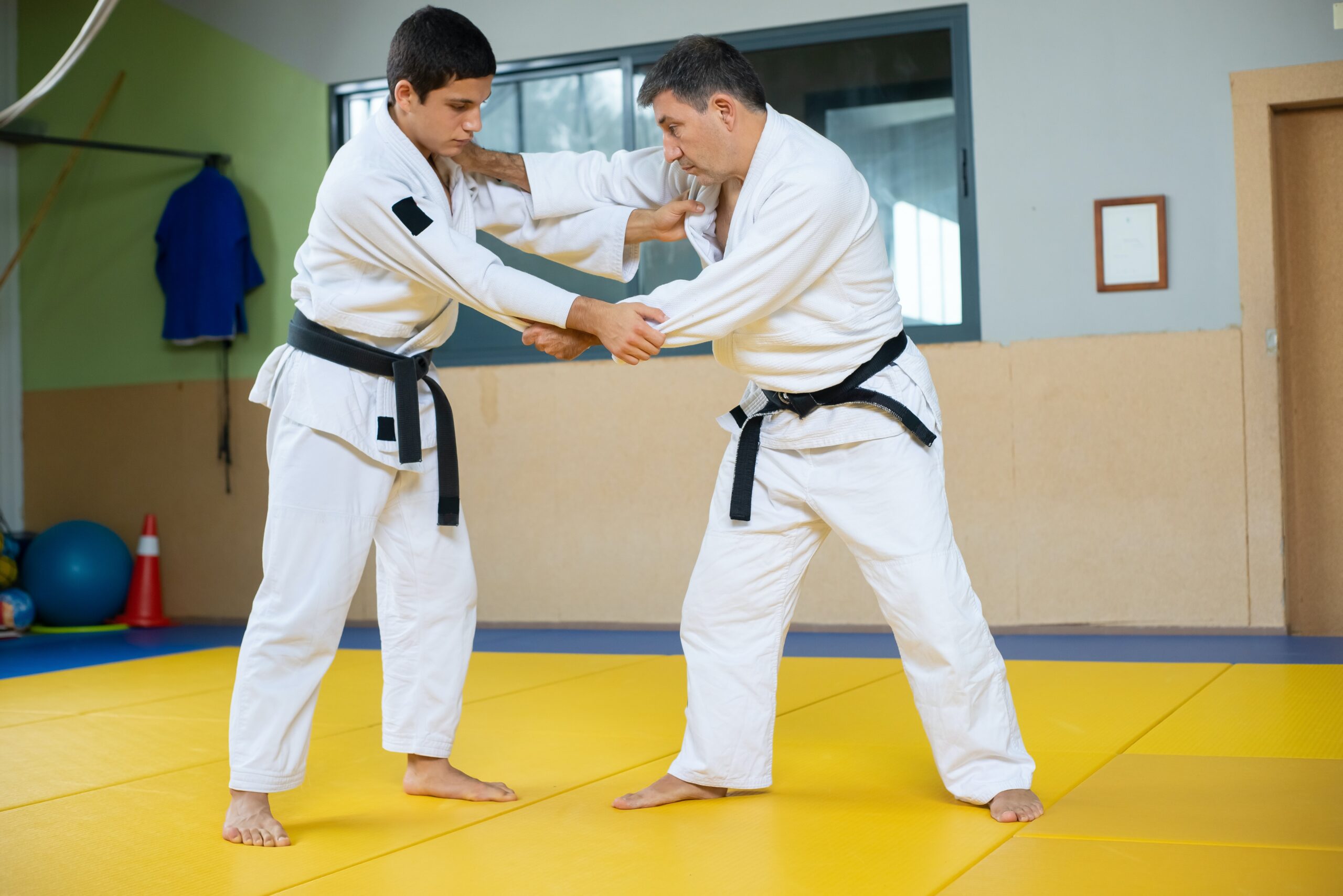 Judo Mastery: Delving into Its Principles, Techniques, and History
