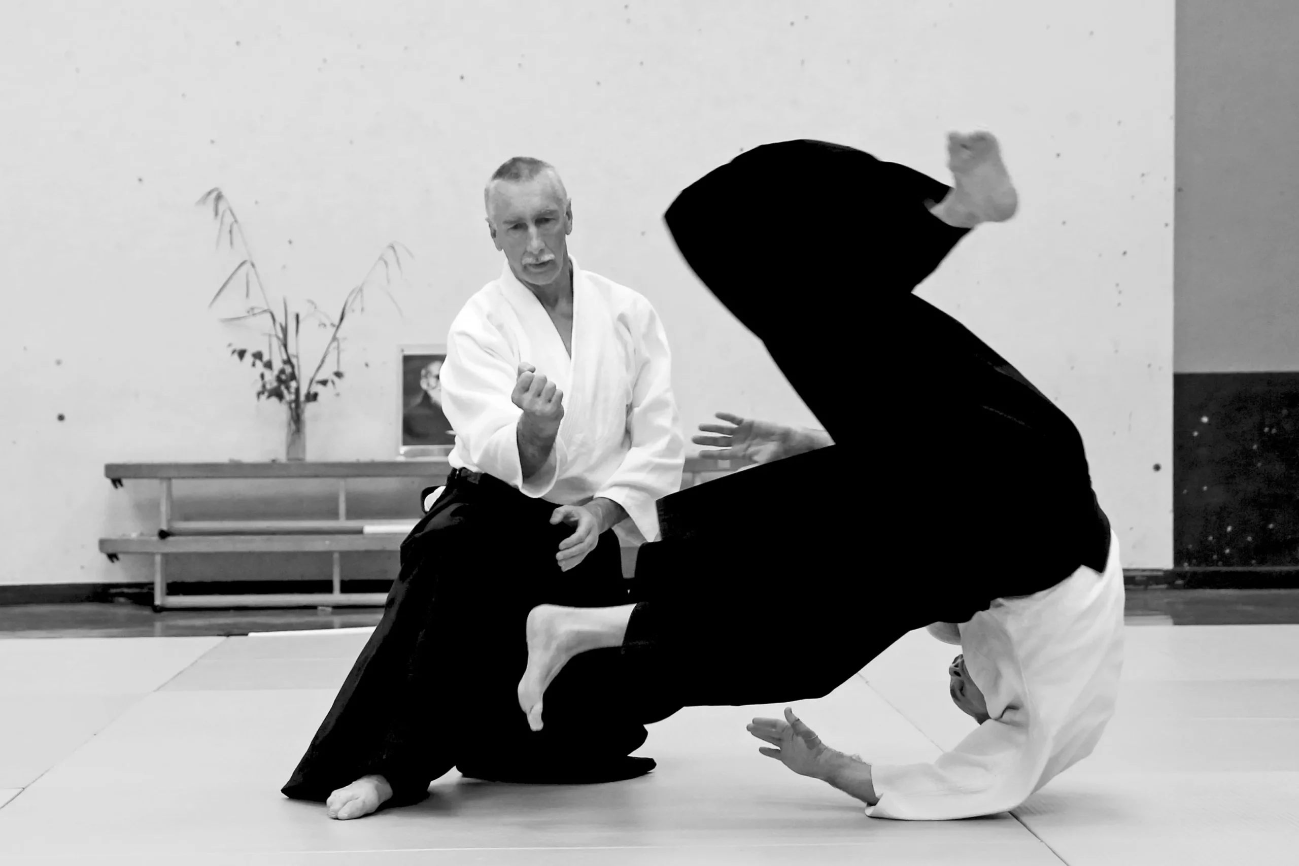 El Aikido: Arte marcial centrado en la armonía y la autodefensa