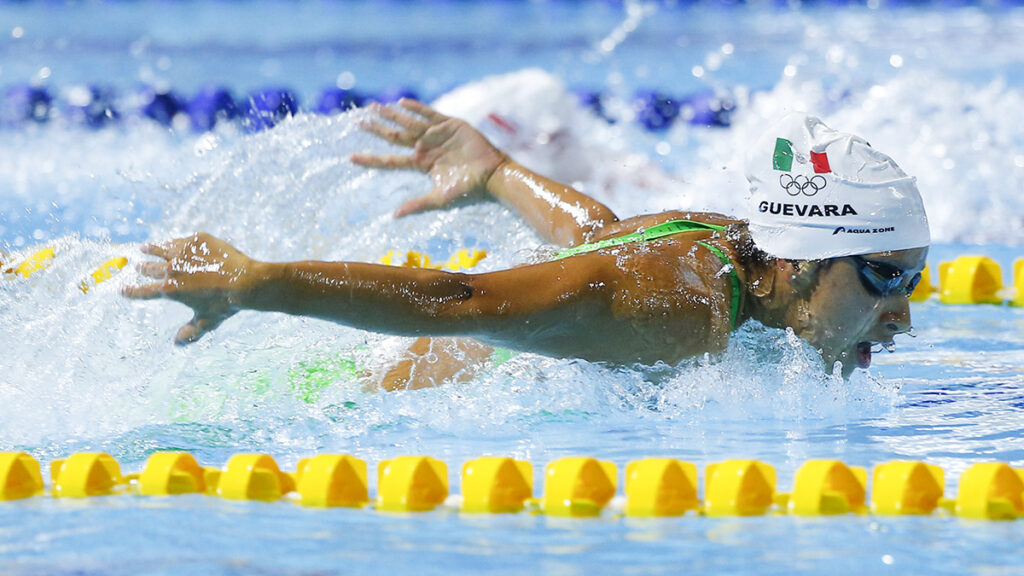 natación olímpica