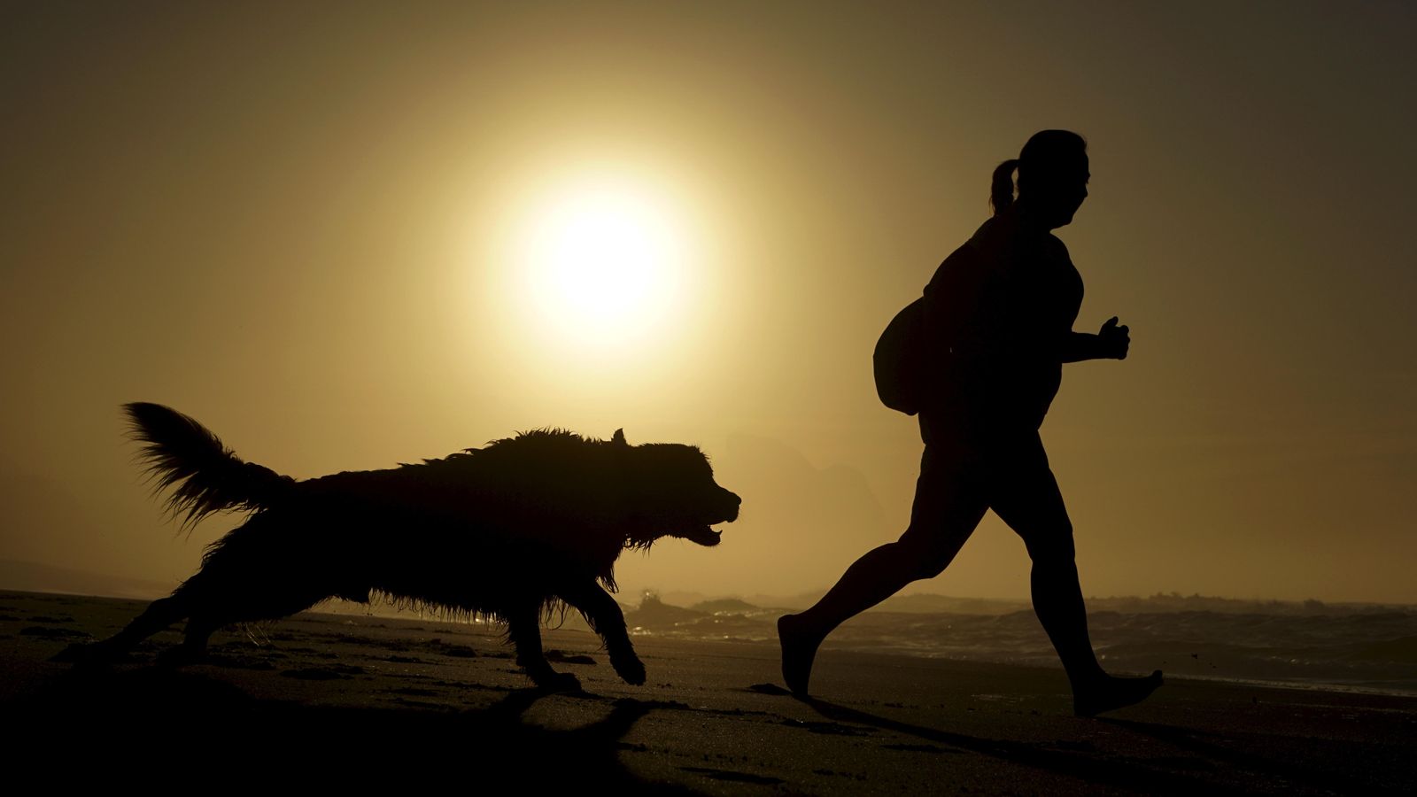 Deportes de resistencia: Mantente activo junto a tu perro